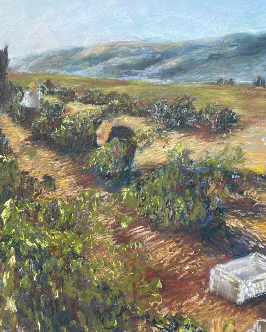 bathed in the mysterious light,