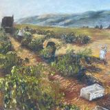 bathed in the mysterious light,