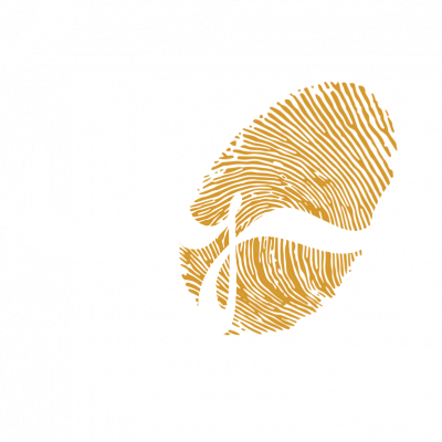WEYA LOGO IN WHITE copy