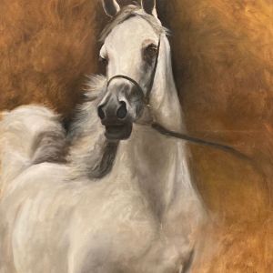 The Arabic Horse